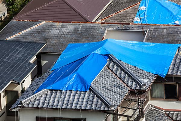 Residential Roofing Repair Services